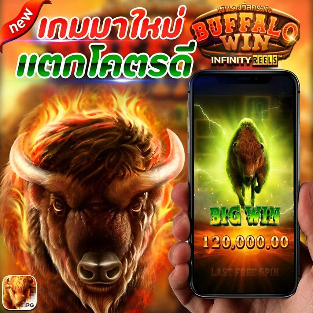 chokdee77 คาสิโนอันดับ 1 พร้อมโปรโมชั่นแรง โบนัสจัดเต็มใหม่ล่าสุด