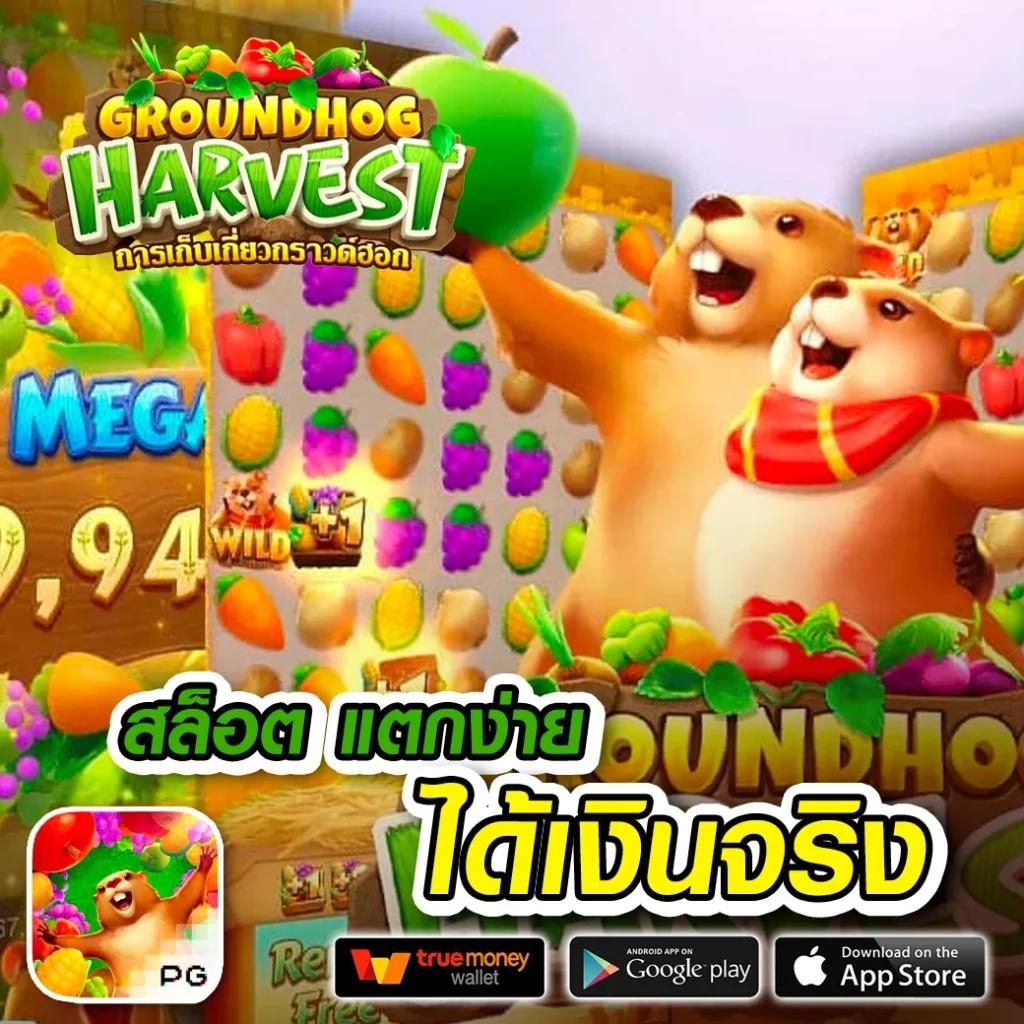 lottoup คาสิโนเชื่อถือได้ ระบบฝากถอนรวดเร็ว โบนัสร้อนแรงที่สุดในไทย