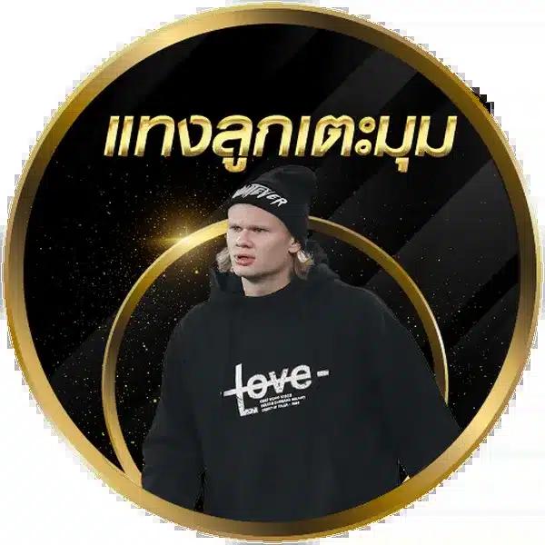 คาสิโนออนไลน์ เว็บตรง มาพร้อมโปรแรงสุดแห่งปี ปลอดภัย มั่นใจ 2024